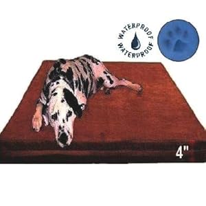 orthopedic beds for large dogs orthopedic beds for large dogs