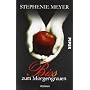 Biss zum Morgengrauen: Twilight Roman von Stephenie Meyer