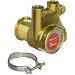 Procon 111A060F11CA Brass Rotary Vane Pump, 3/8" NPTF, 73 GPH