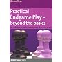 Practical Endgame Play - Beyond the Basics: The definitive guide to the endgames that really matter (Everyman Chess)