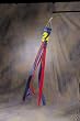 Jeff Gordon Wind Sock - NASCAR