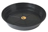 Champion Sports Ball Base