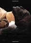 The Royal Mummies: Immortality in Ancient Egypt