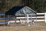 ShelterLogic Dog Kennel, 66- Inch Peak Height, Wall Dimensions 4ft x 8ft x 45 in