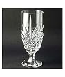 Dublin Set of 4 Crystal Ice Tea Glasses by Shannon
