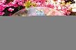 Dragonflies Glass Birdbath