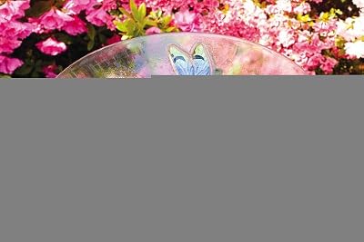 Dragonflies Glass Birdbath