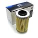 OEM SeaDoo 4-TEC 4-Stroke Oil Filter 420956741