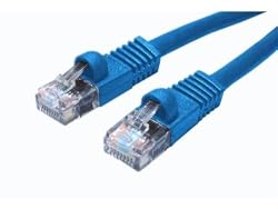 10FT CAT5E UTP Mld/stnd Pvc Blue