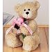 Gund Plush Bear with Flowers - Feel Better Get Well Soon, 10 Inches