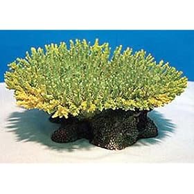 Natures Image No. 2A Table Acropora Green 5.5 in x 5.5 in x 2.5 in Coral Reproduction by Natures Image