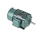 Leeson Electric 171637.60 - Severe Duty Motor- Mill and Chemical - 3 ph Phase, 10 hp, 1200 rpm, 208-230/460 V, 256T Frame, Totally Enclosed Fan Cooled Enclosure, 60 Hz