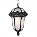 Rose Garden Medium Chain Pendant Finish: Verde Green, Glass Type: Seedy