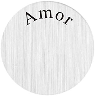 ZMZY Stainless Steel Floating Charms Amor Plates Fits for 30mm Glass Living Locket (Pack of 2)
