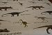 Dinosaur Fabric 1 Meter Long 140cm Wide