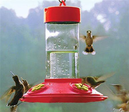 Songbird Essentials SE6018 JBs Hummingbird Bird