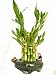 KL Design & Import - 2 Tier Bamboo Tower in a Hand Made Ceramic Fisherman and Frog Vase *Perfect Gift*