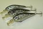 3 Set L3Y Silver Shad Custom Lures - Plugs Crankbaits Bass Fishing Set L3Y