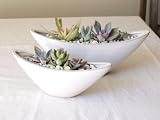 solxsol �����A�� Boat pot set 10901