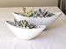 solxsol �����A�� Boat pot set 10901
