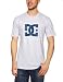 DC Shoes Star Short Sleeve Mens Shirt Logo Men's T-Shirt Heather Grey/Olympian Large