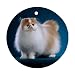 Persian Cat Ornament round porcelain Christmas Great Gift Idea