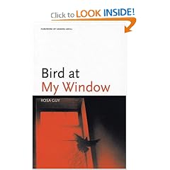 Bird at My Window