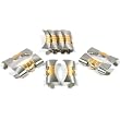 10 Watch Band Ends Caps Links Steel Parts Two Tone 20mm