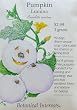 Pumpkin Lumina Seeds