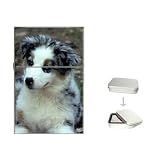 Australian Shepherd Puppy Flip Top Lighter