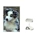Australian Shepherd Puppy Flip Top Lighter