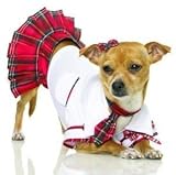 Cute Little School Puppy Costume