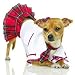 Cute Little School Puppy Costume
