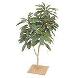 �y�l�H�A���z���Y���n90cm