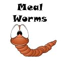 1000ct Live Mealworms Live Pet Food & Bait (Free Shipping)
