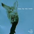 The Rising Tide&nbsp;&nbsp;by Sunny Day Real Estate 