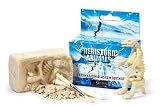 Prehistoric Animal Dig Kit