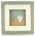 Seashell Shell Bathroom Tropical Shadow Box Wall Art
