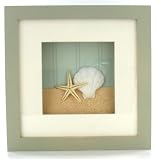 Seashell Shell Bathroom Tropical Shadow Box Wall Art