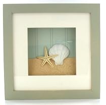 Seashell Shell Bathroom Tropical Shadow Box Wall Art