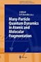 Many-Particle Quantum Dynamics in Atomic and Molecular Fragmentation (Springer Series on Atomic, Optical, and Plasma Physics)