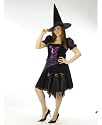 Witch Purple Punk Costume - Adult Costume Plus size