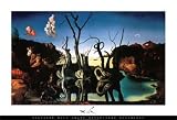 Swans Reflecting Elephants, c.1937 Art Styles Poster Print by Salvador Dali, 37x25
