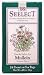 Health & Personal Care : Mullein Tea 24 bags