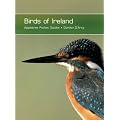 Birds of Ireland (Pocket Guides)