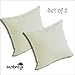 Comfort Classics Set of 2 Sunbrella Outdoor/Indoor Throw Pillows Inc. (Canvas)