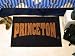 Princeton Univ Starter 20x30 Floor Mat (Rug) - Princeton Tigers NCAA College Athletics