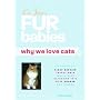 Fur Babies: Why We Love Cats