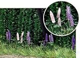 Busch H0 - 1217 Wild-Lupinen