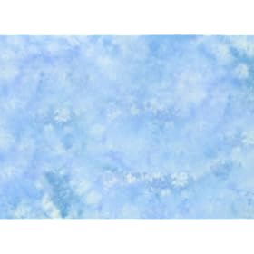 Lastolite LL LB56FM 5 x 6 Feet Collapsible Reversible Background (Florida/Maine)